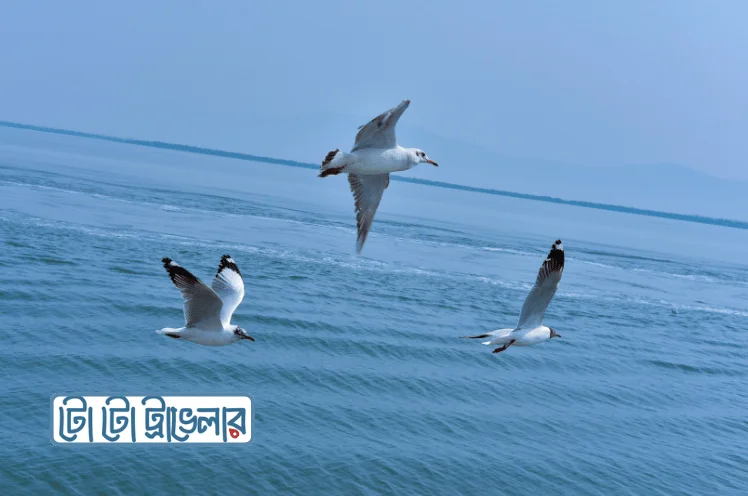 saint martin travel guide 2025